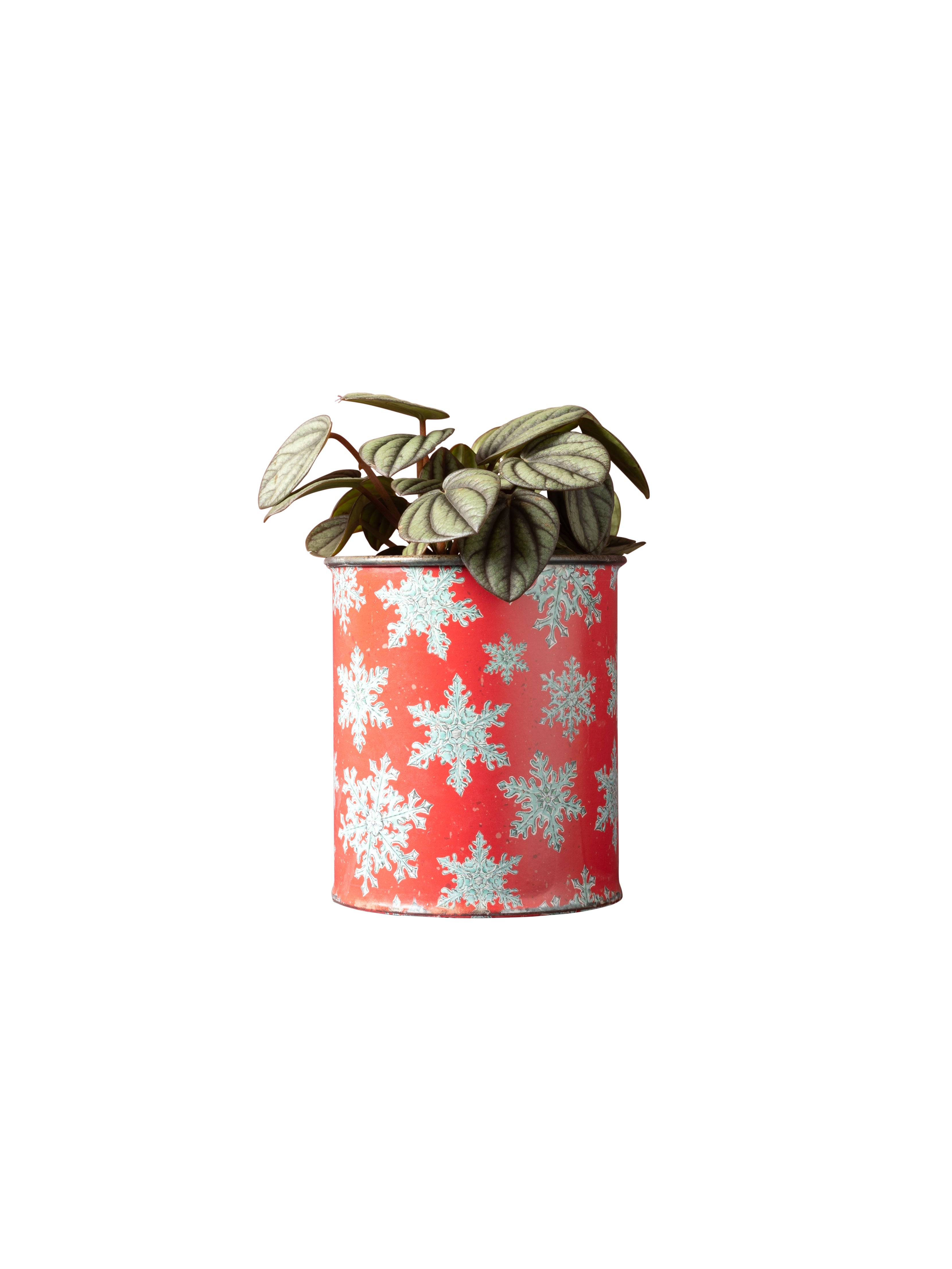 Small red canister with snowflake pattern and zinc pattina, against a dark red wall