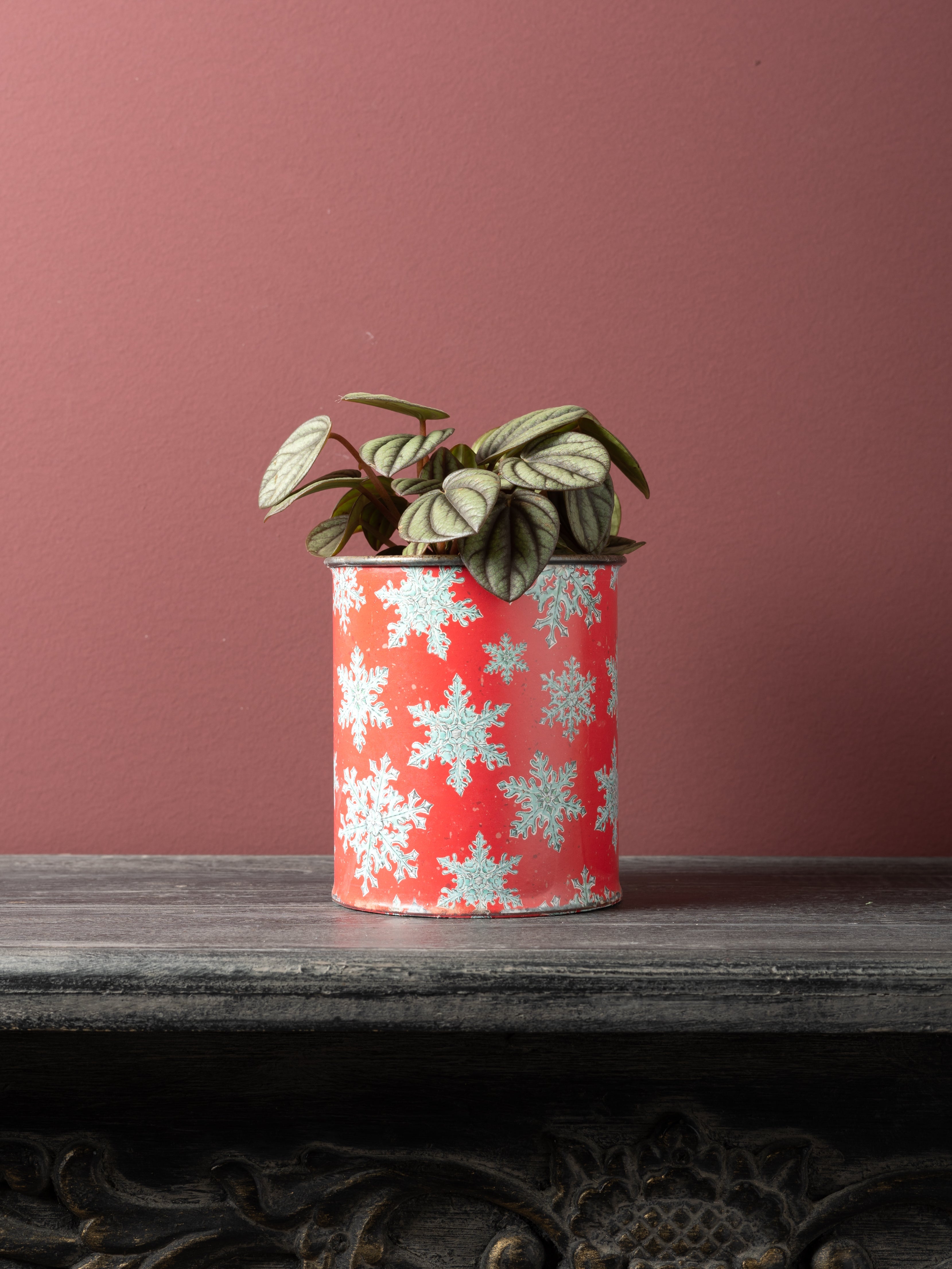 Small red canister with snowflake pattern and zinc pattina, against a white background