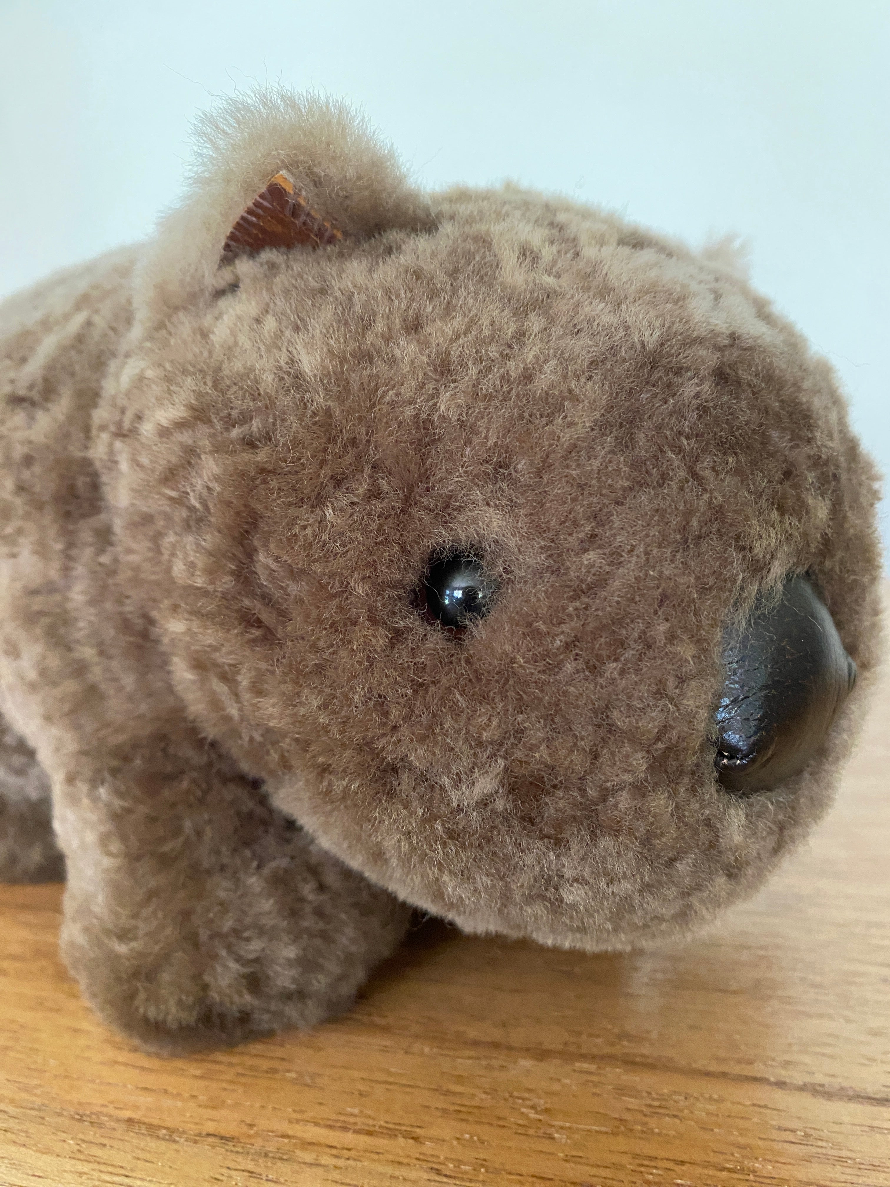 Winnie Wombat Sheepskin Soft Toy; shorn brown sheepskin with dark brown leather nose, plastic dark brown eyes and small brown leather inner ears and toes. Front view close up, angled to the left on a wooden table & against a pale wall.