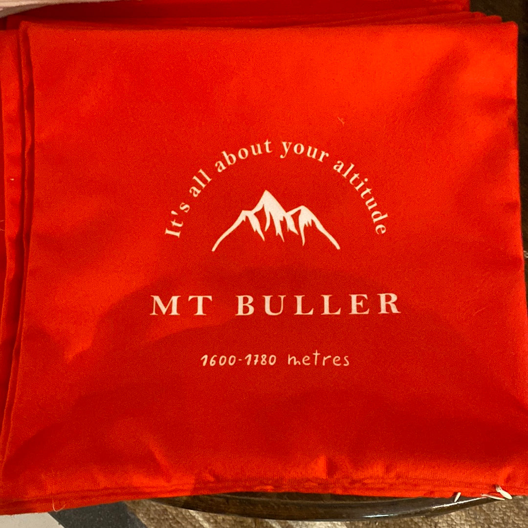 Mt Buller Cushion