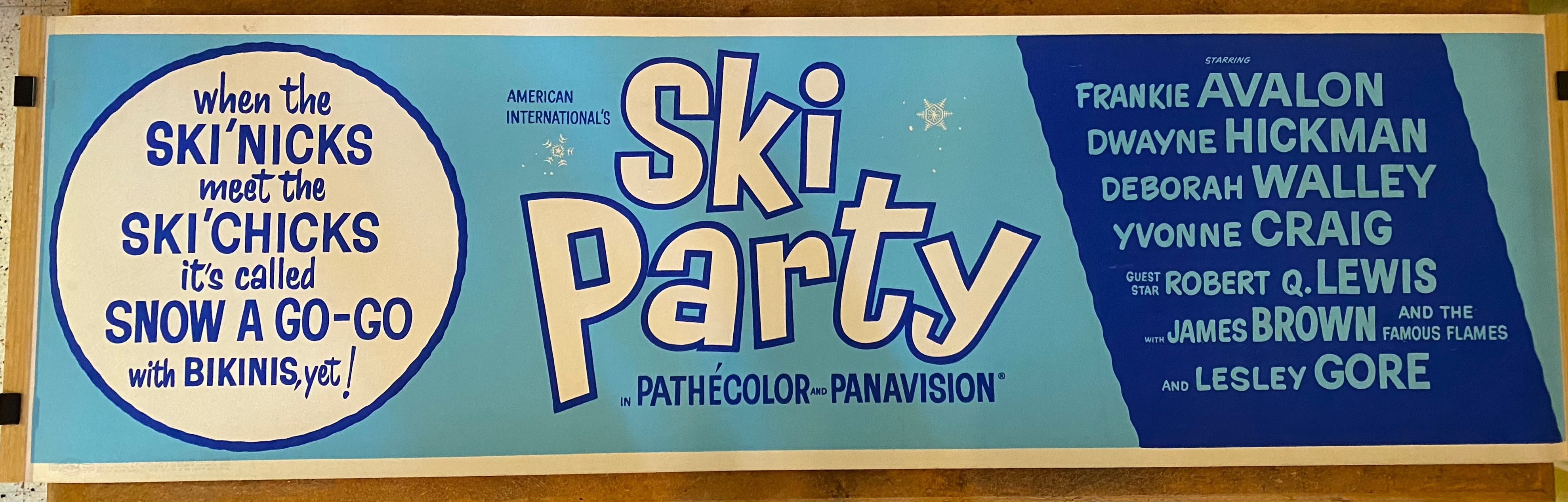 1965 Ski Party Film Banner Poster