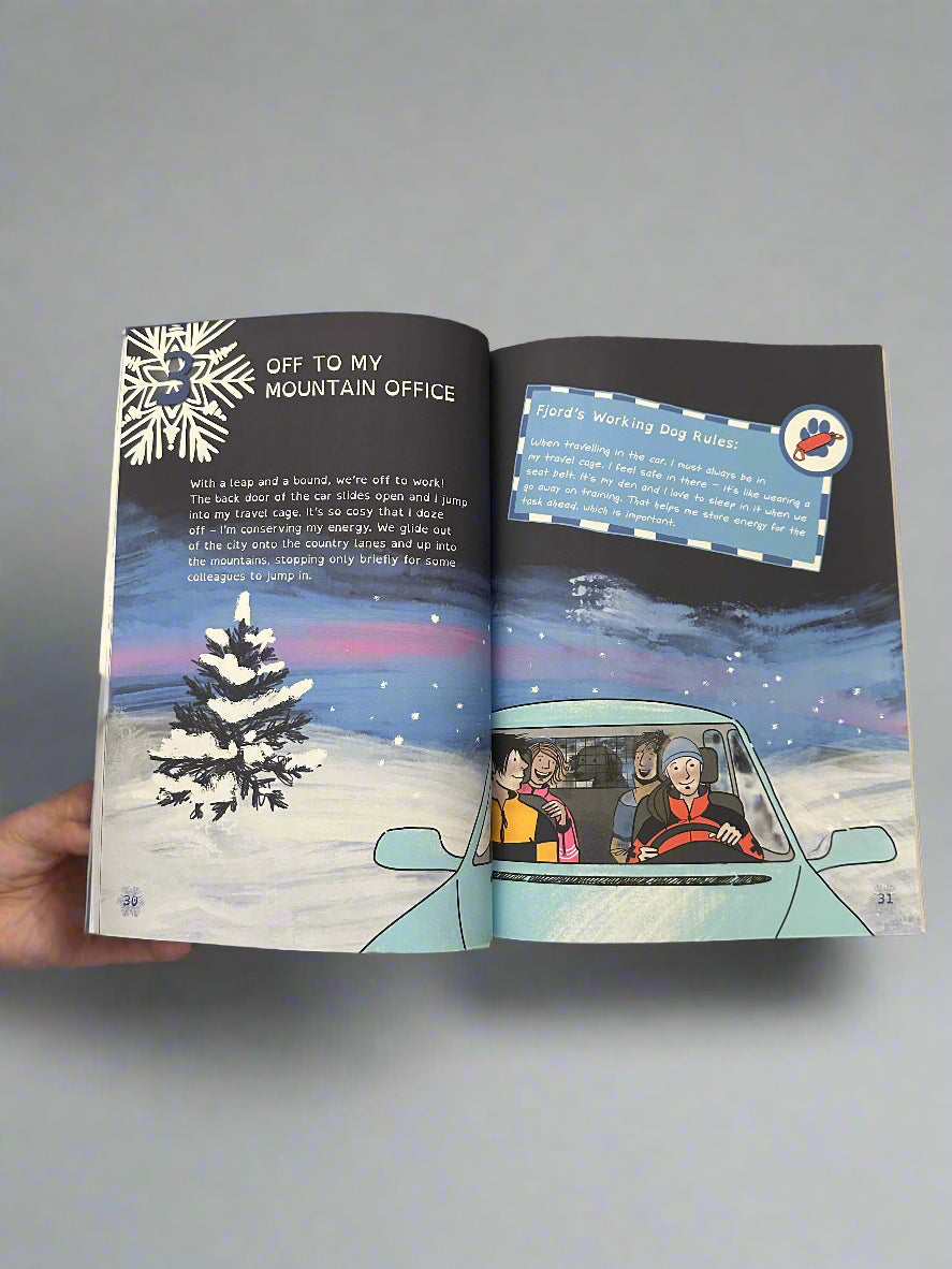 Fjord’s Mountain Mission. Pages 30 & 31  of book