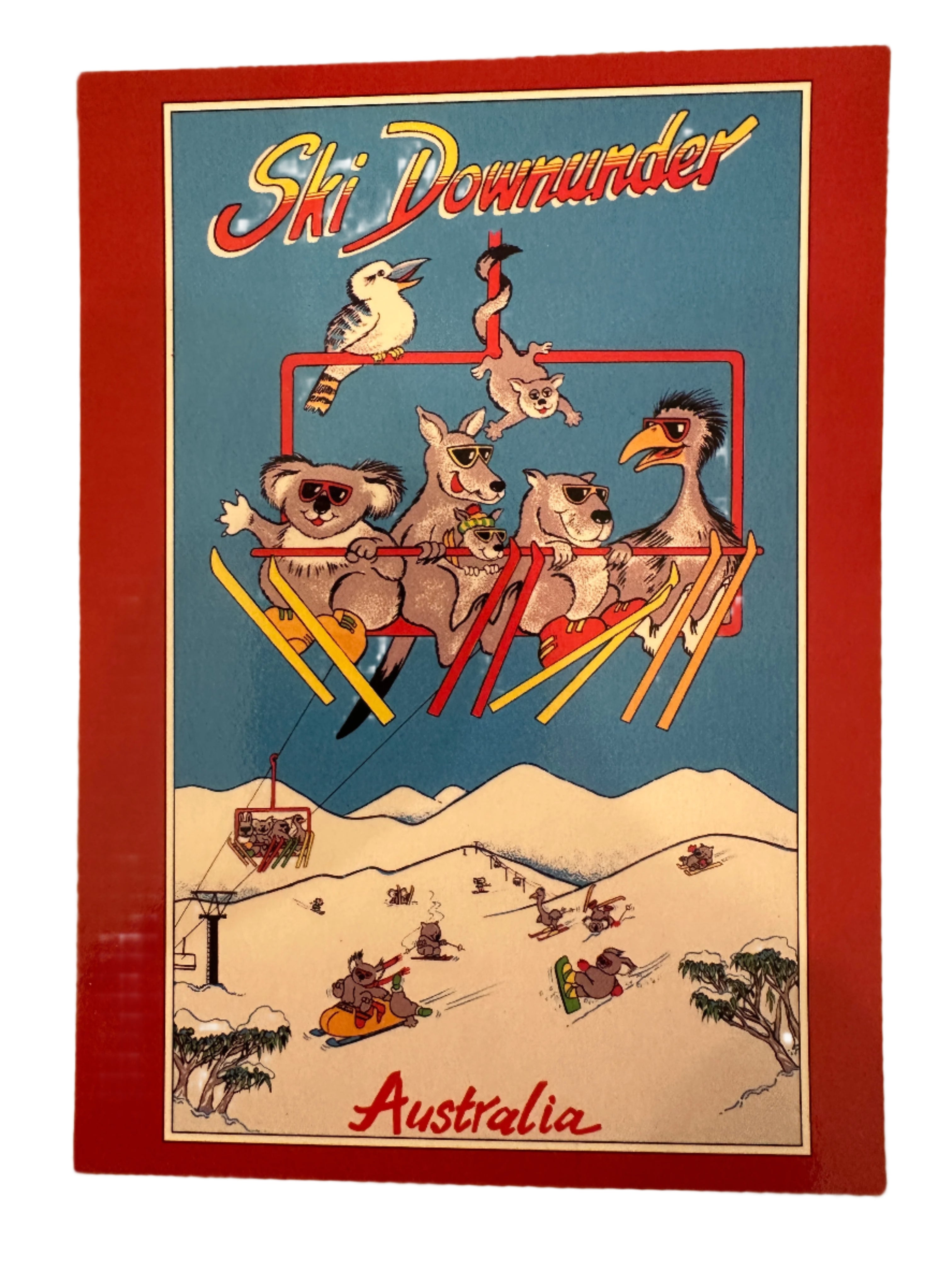 Ski Downunder Postcard