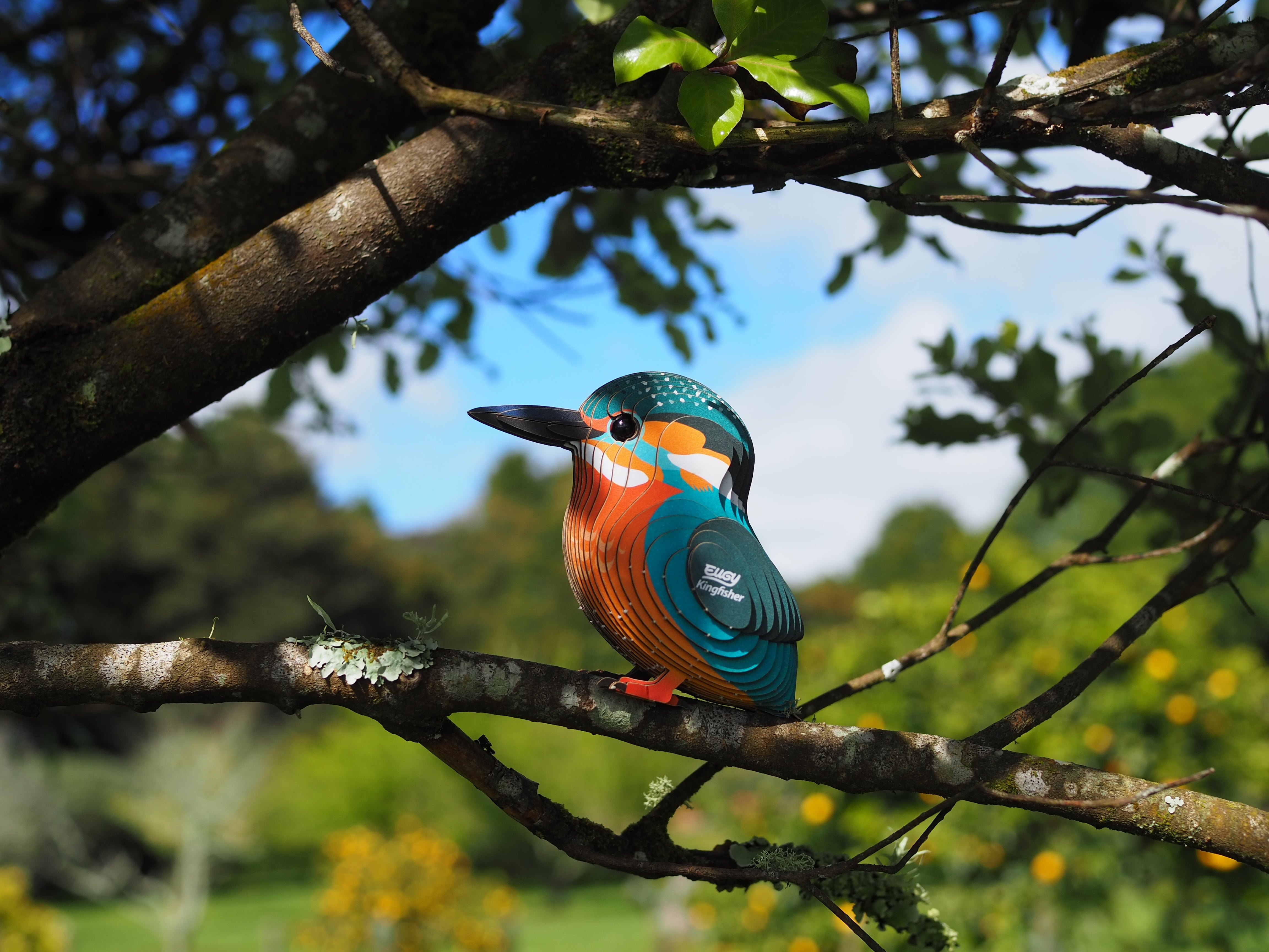 EUGY Kingfisher - 3D Cardboard Model Kit