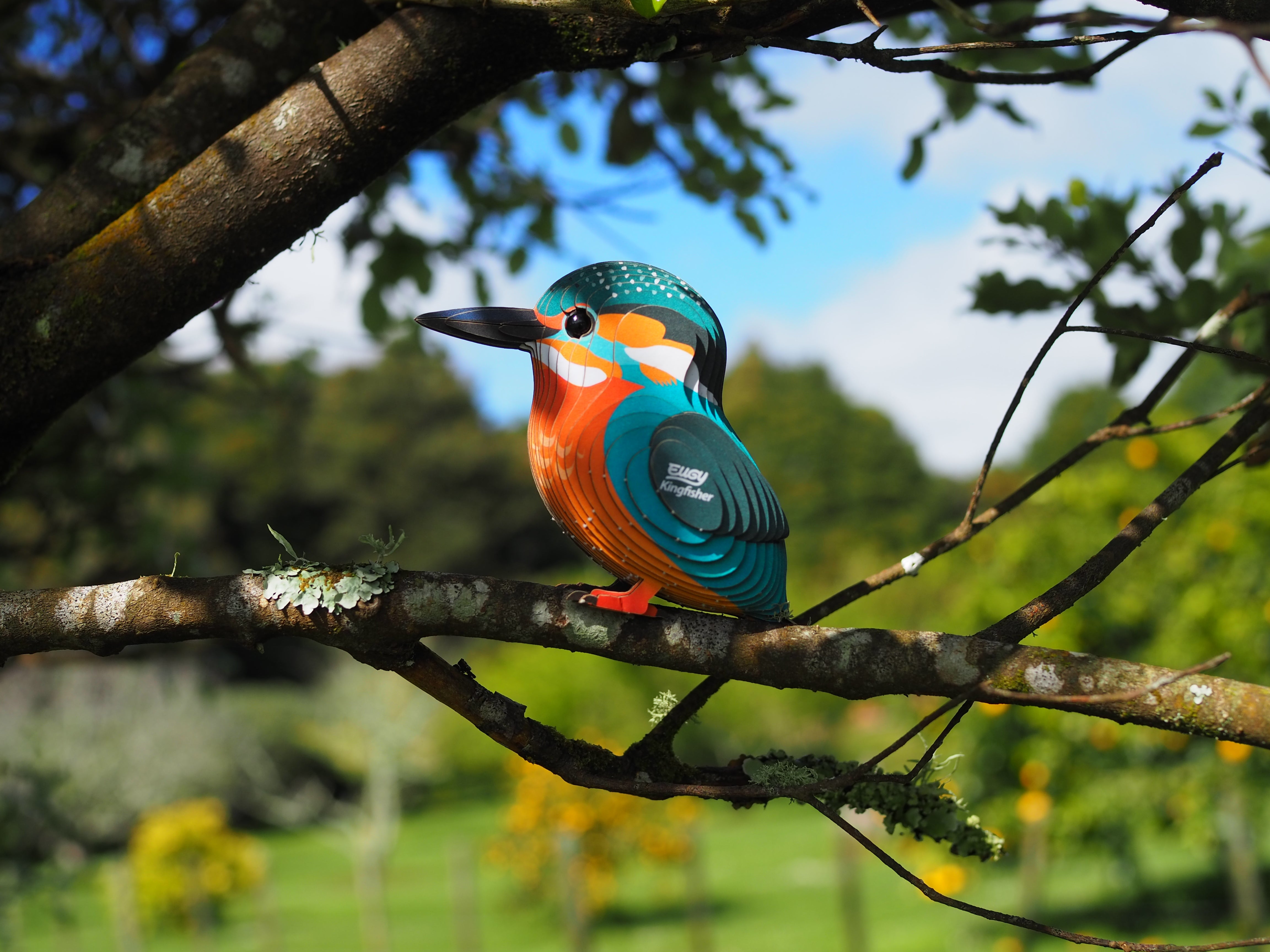 EUGY Kingfisher - 3D Cardboard Model - In a tree