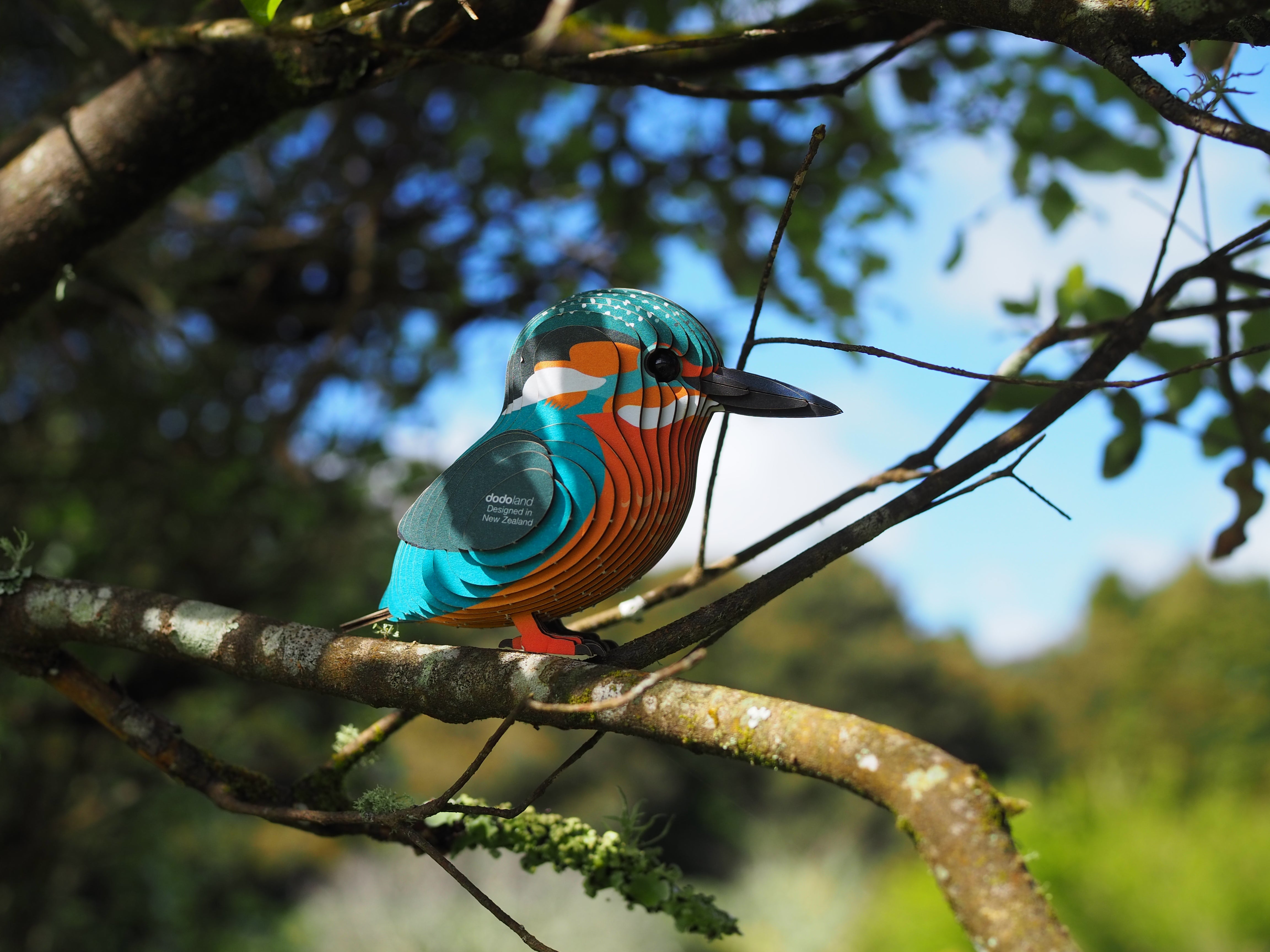 EUGY Kingfisher - 3D Cardboard Model - In a tree 2