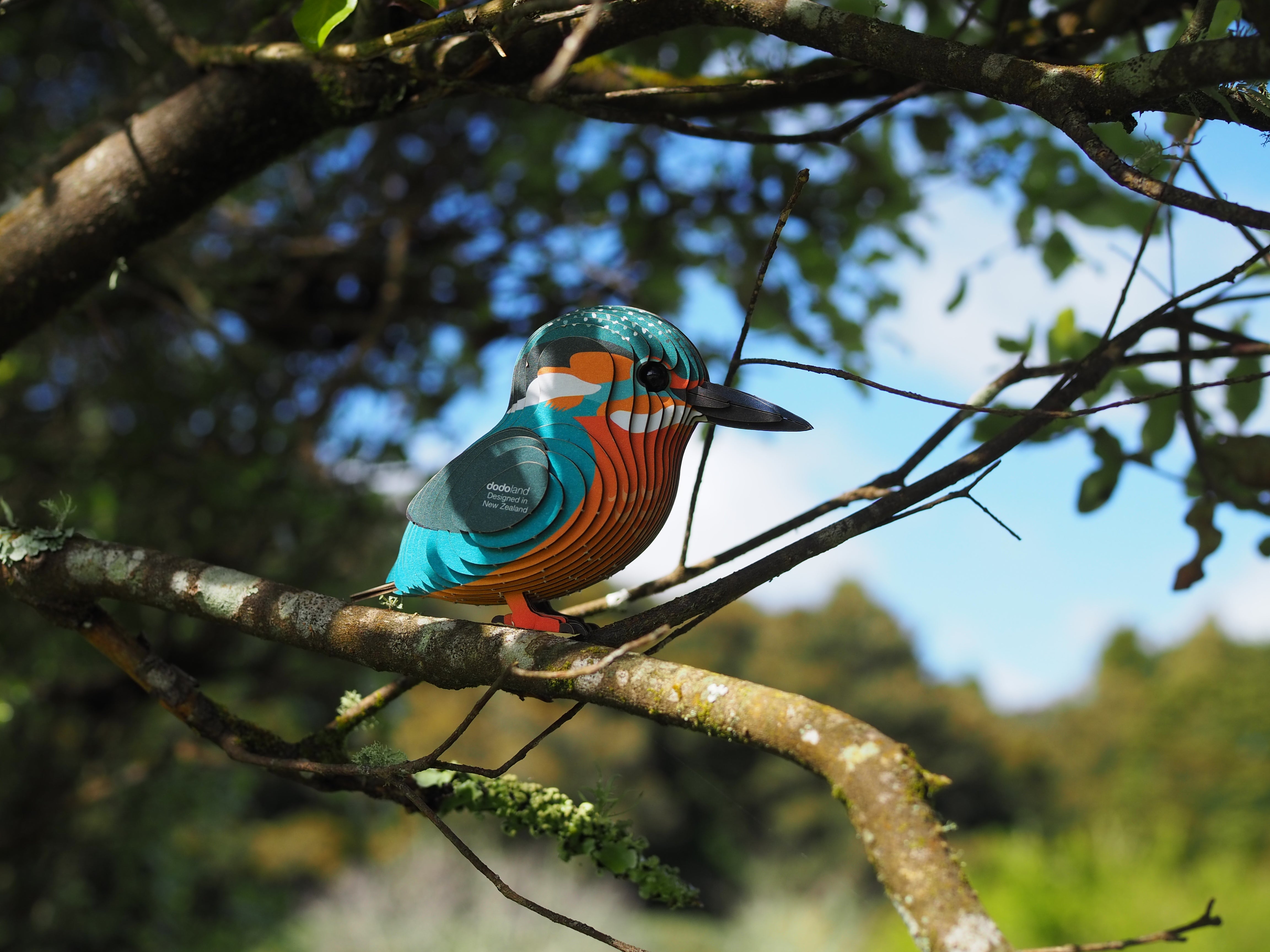 EUGY Kingfisher - 3D Cardboard Model - In a tree 3