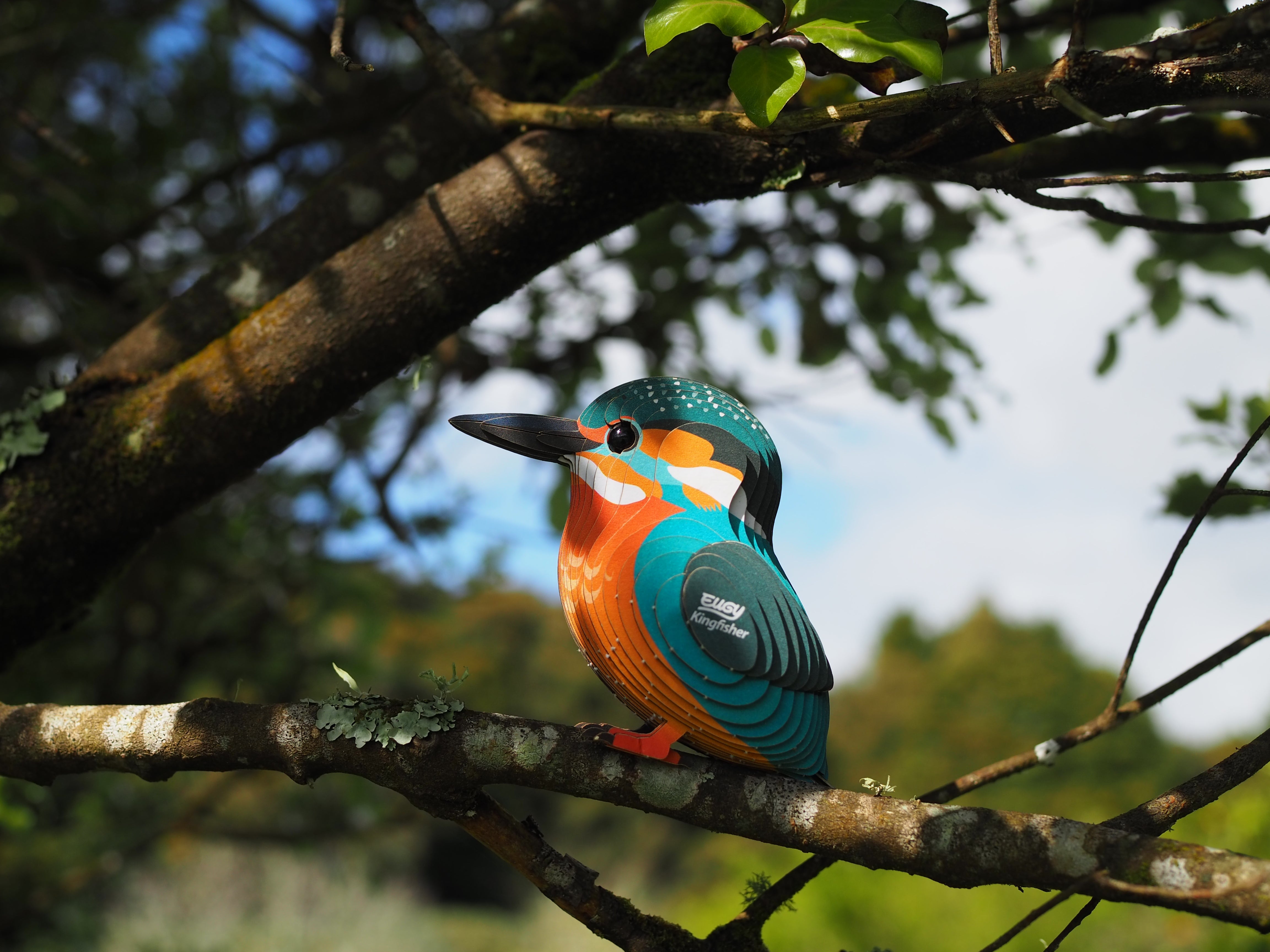 EUGY Kingfisher - 3D Cardboard Model - In a tree 5