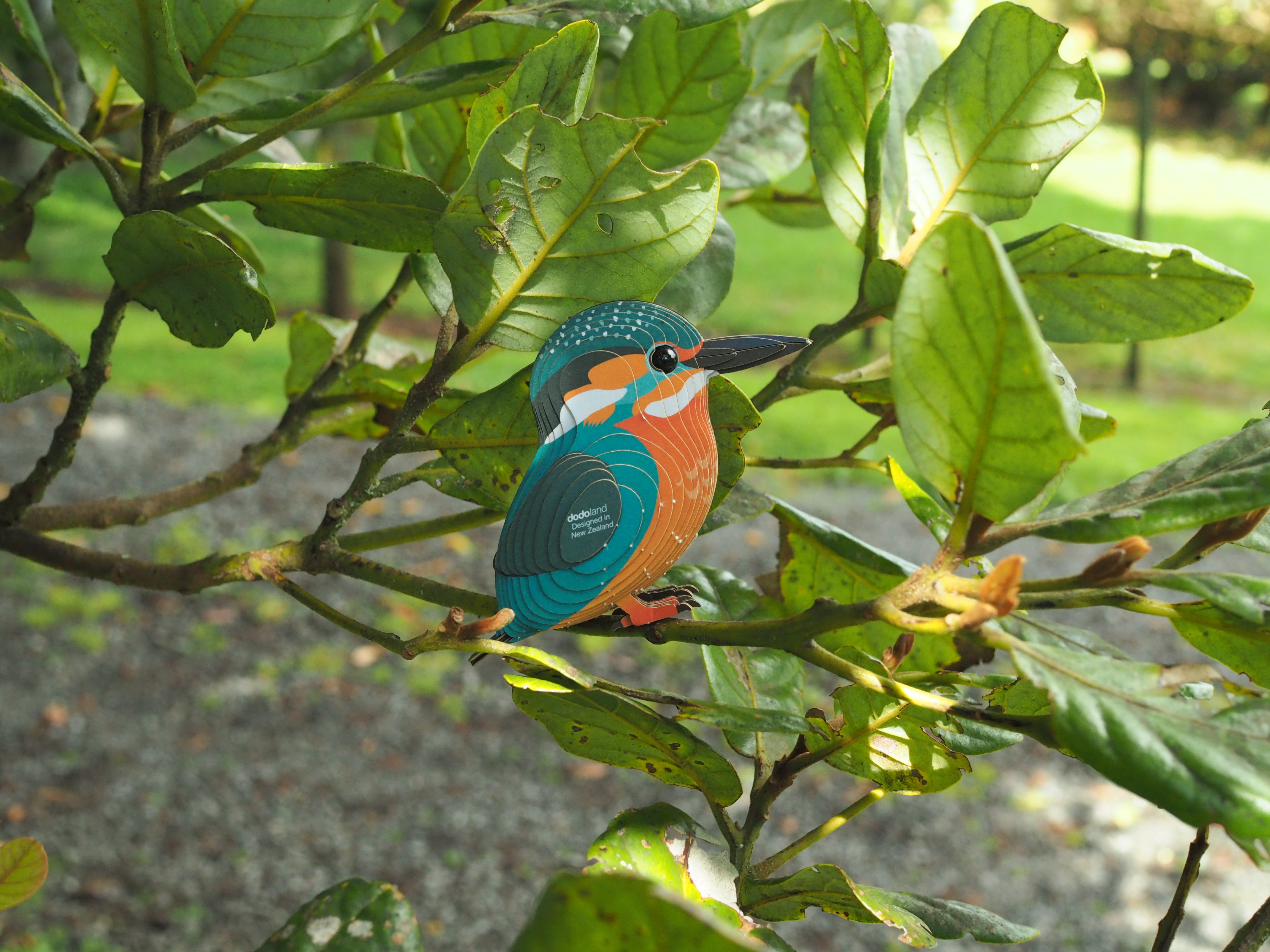 EUGY Kingfisher - 3D Cardboard Model Kit