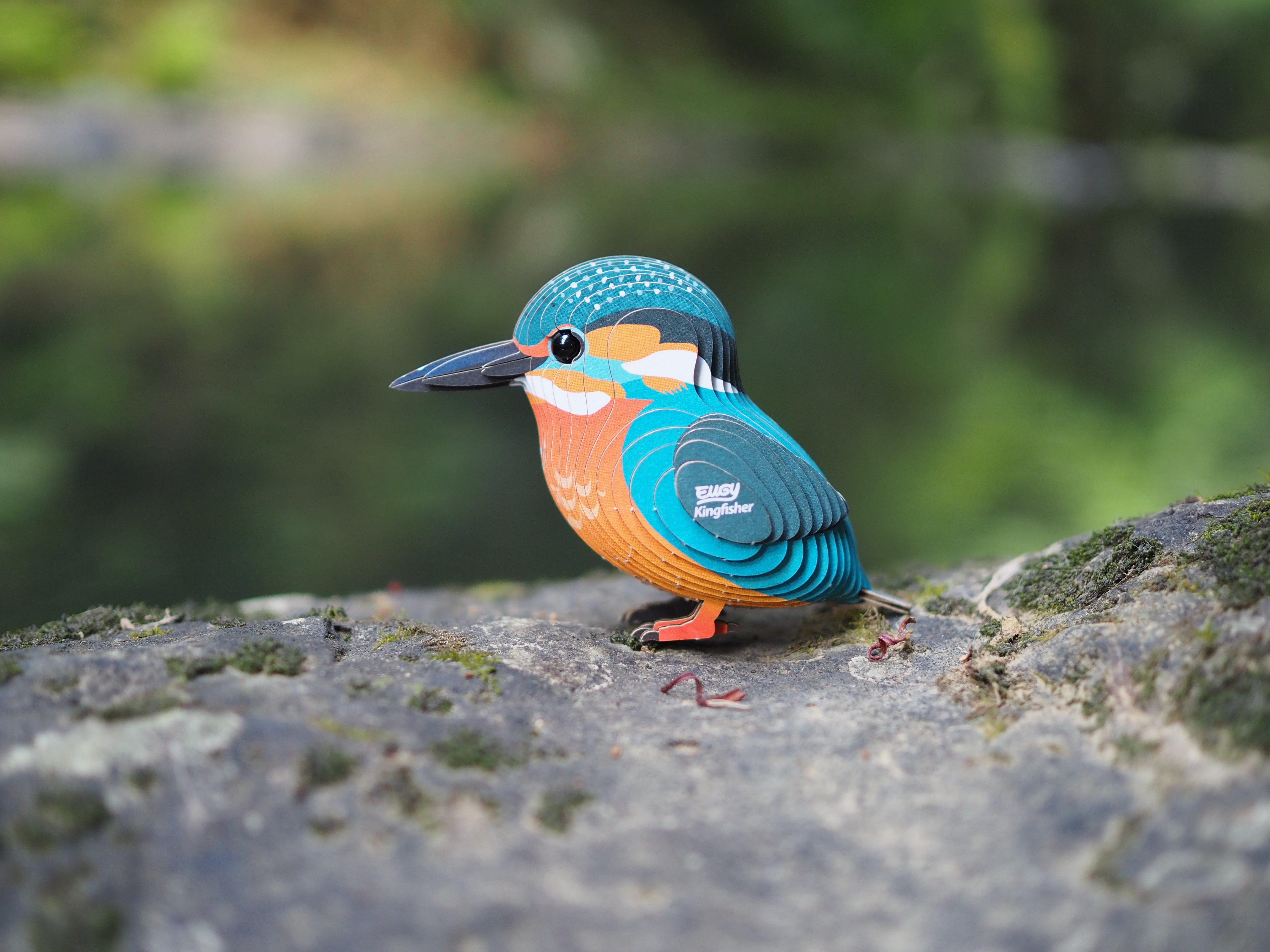 EUGY Kingfisher - 3D Cardboard Model Kit