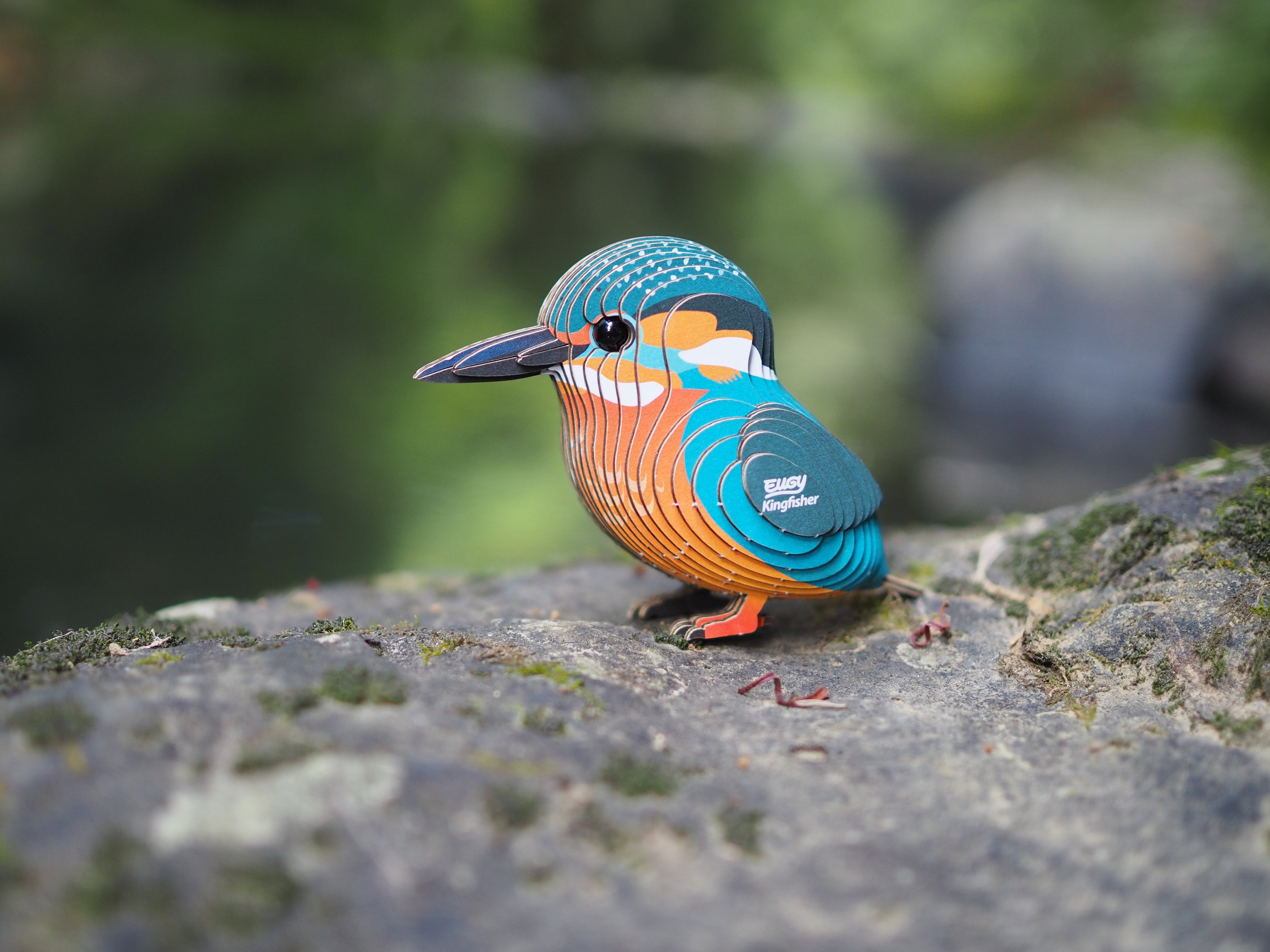 EUGY Kingfisher - 3D Cardboard Model Kit