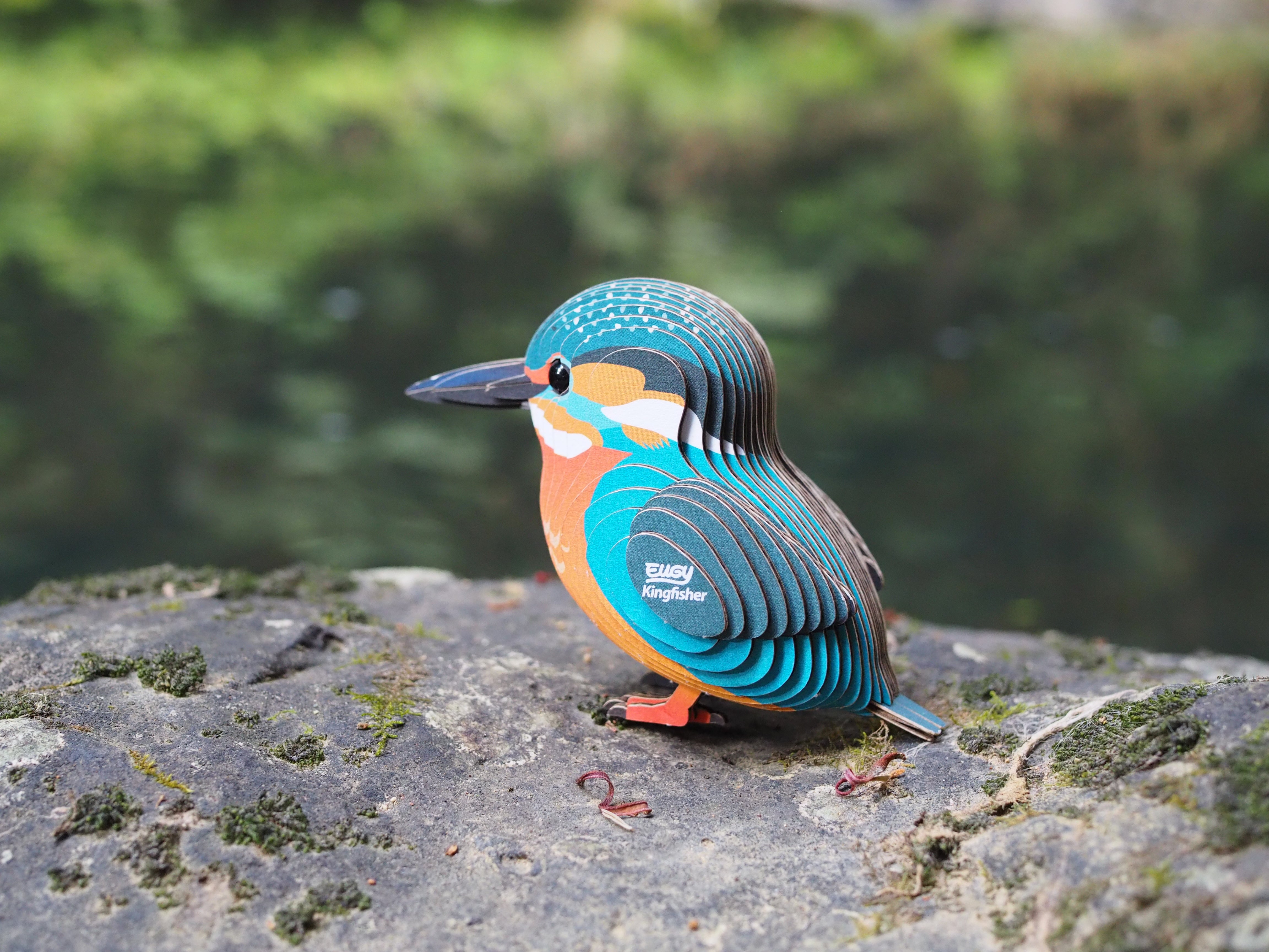 EUGY Kingfisher - 3D Cardboard Model Kit