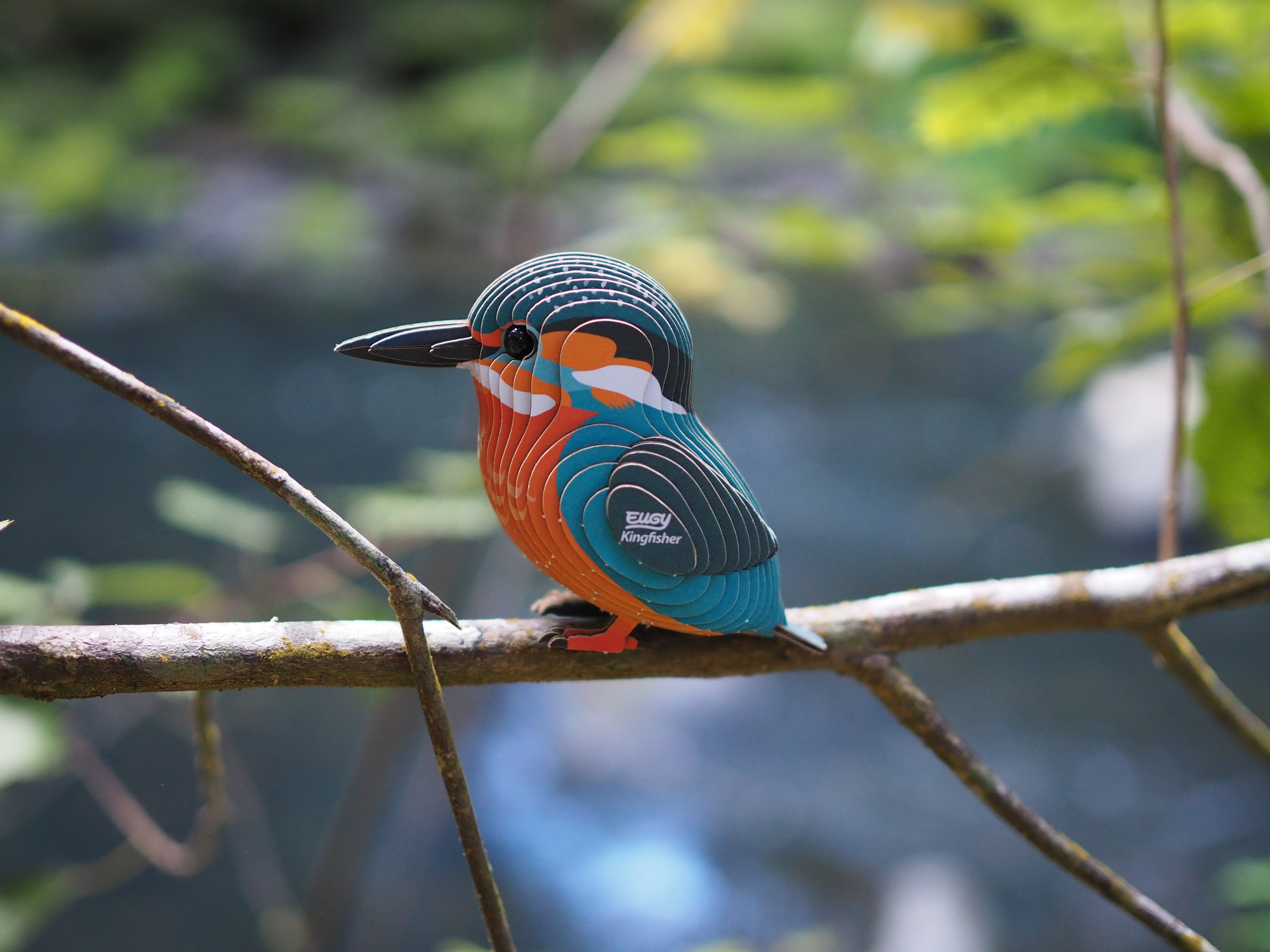EUGY Kingfisher - 3D Cardboard Model Kit