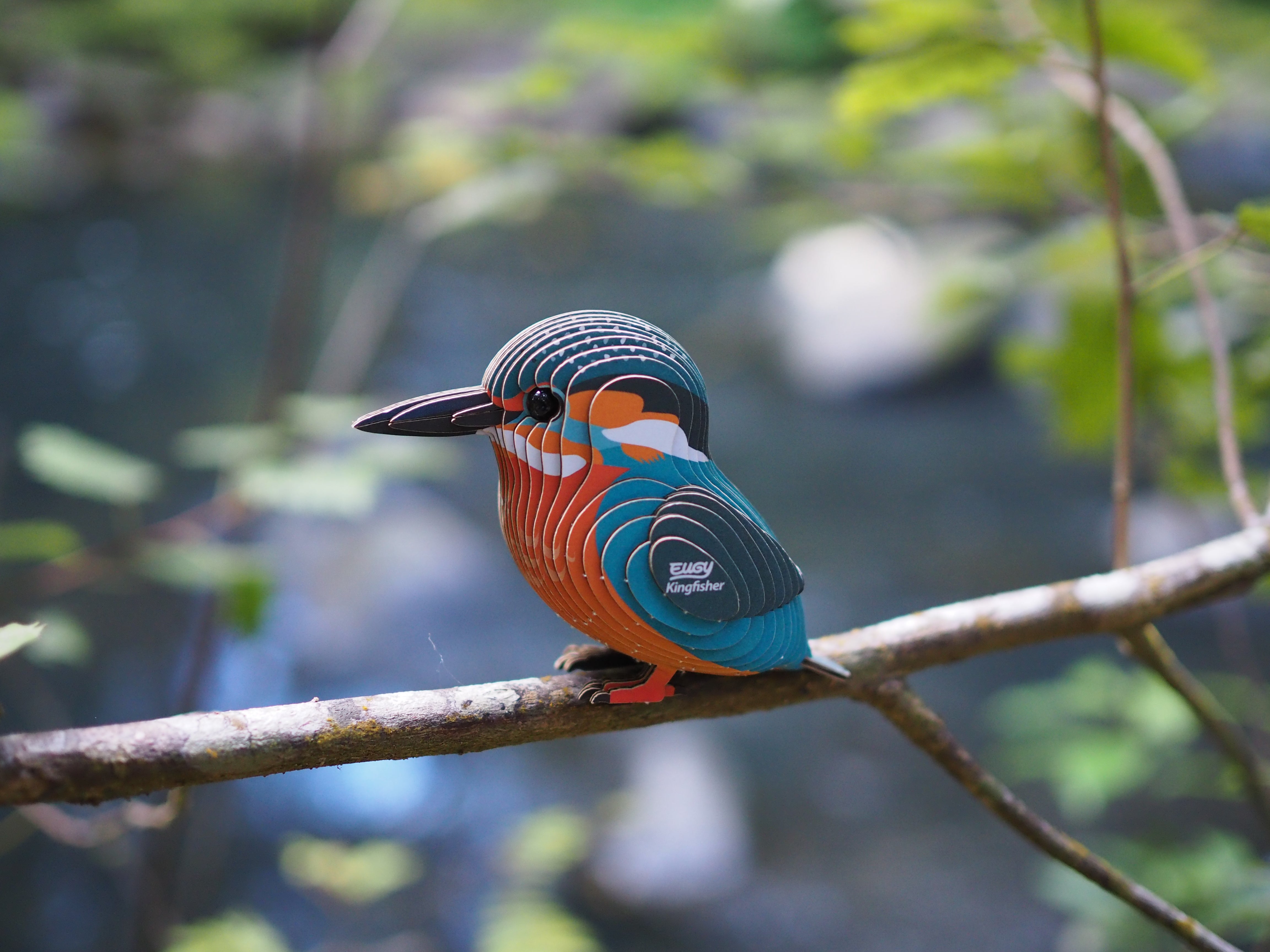EUGY Kingfisher - 3D Cardboard Model Kit