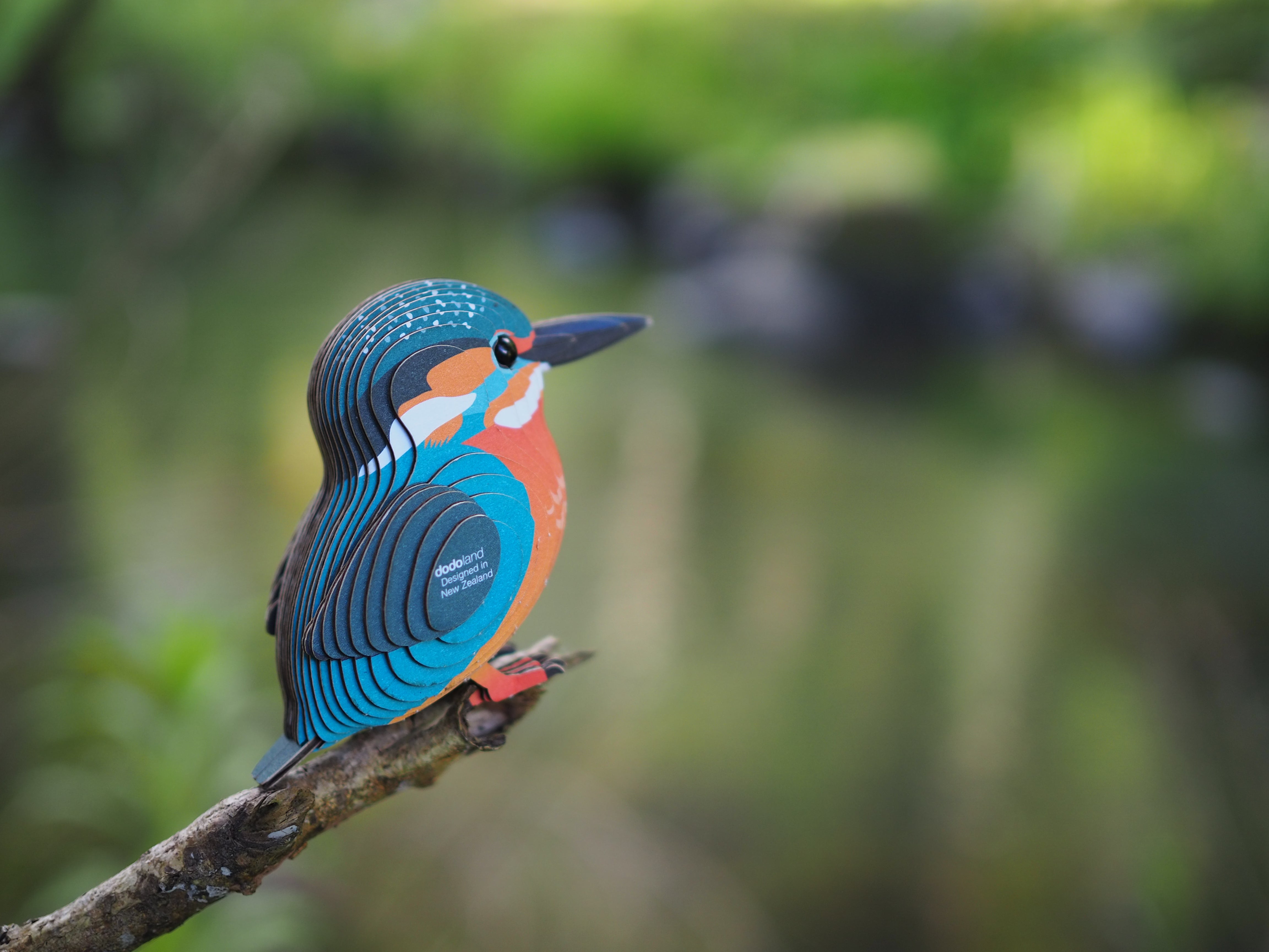 EUGY Kingfisher - 3D Cardboard Model Kit