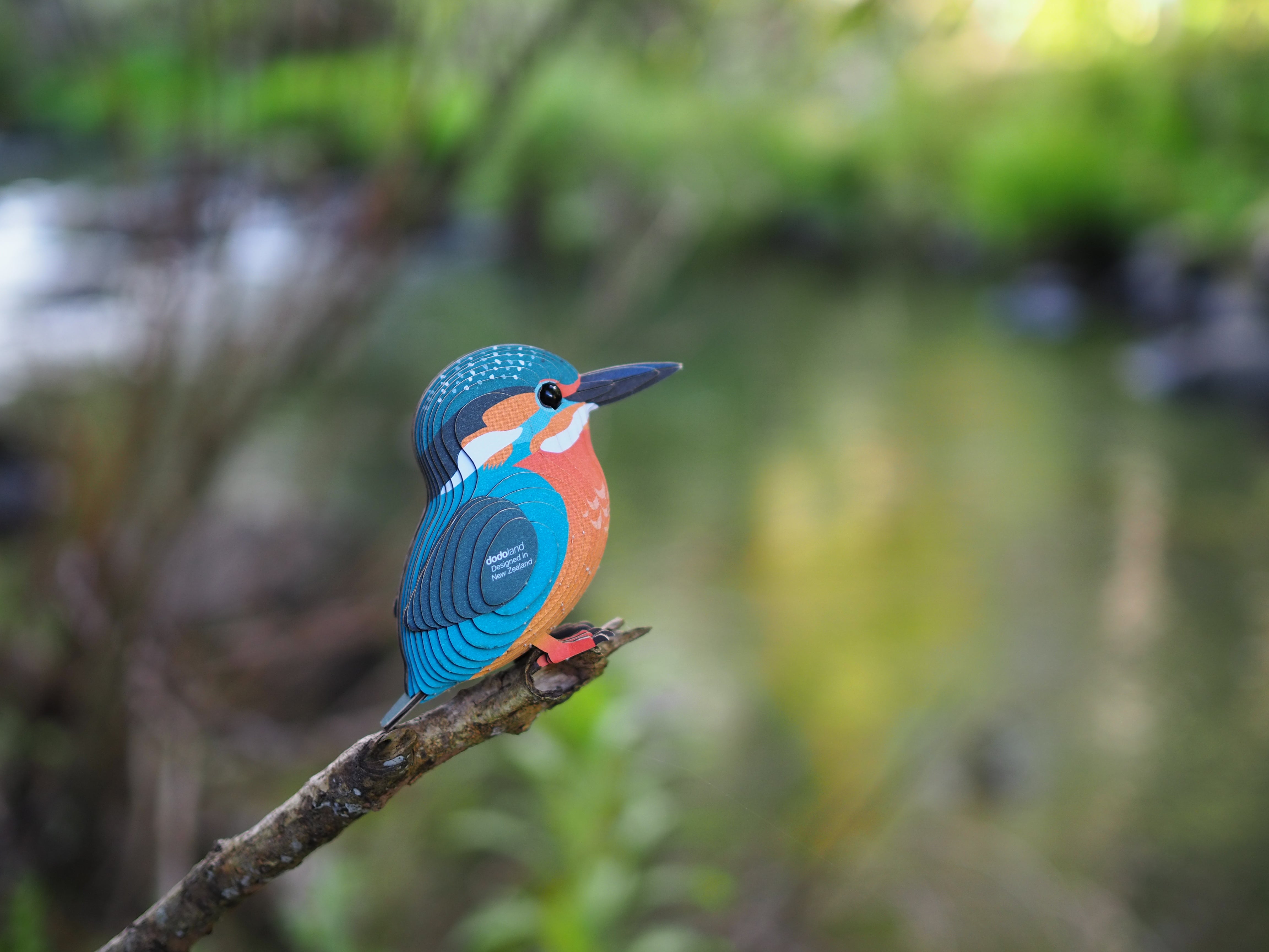 EUGY Kingfisher - 3D Cardboard Model Kit