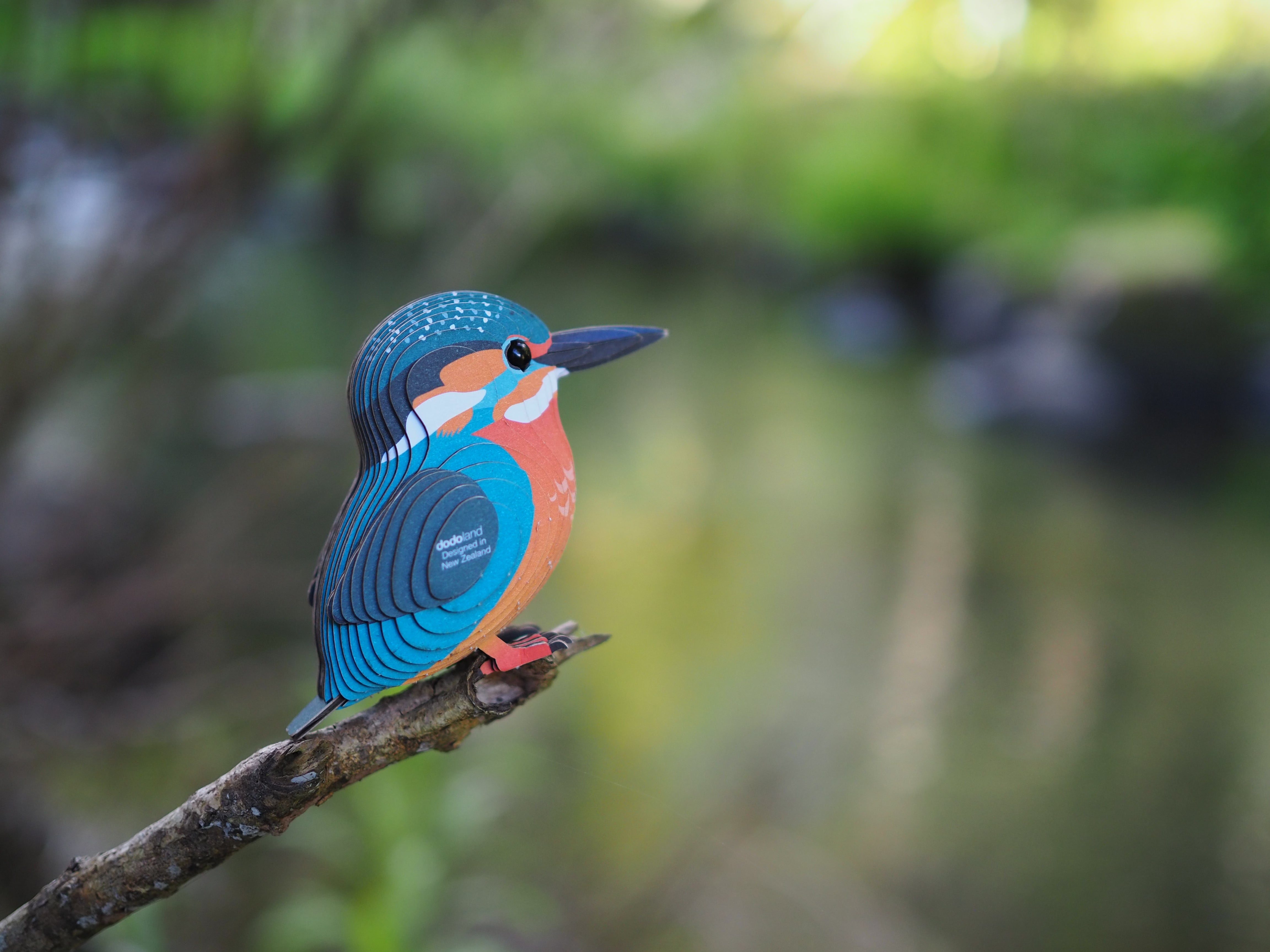 EUGY Kingfisher - 3D Cardboard Model Kit