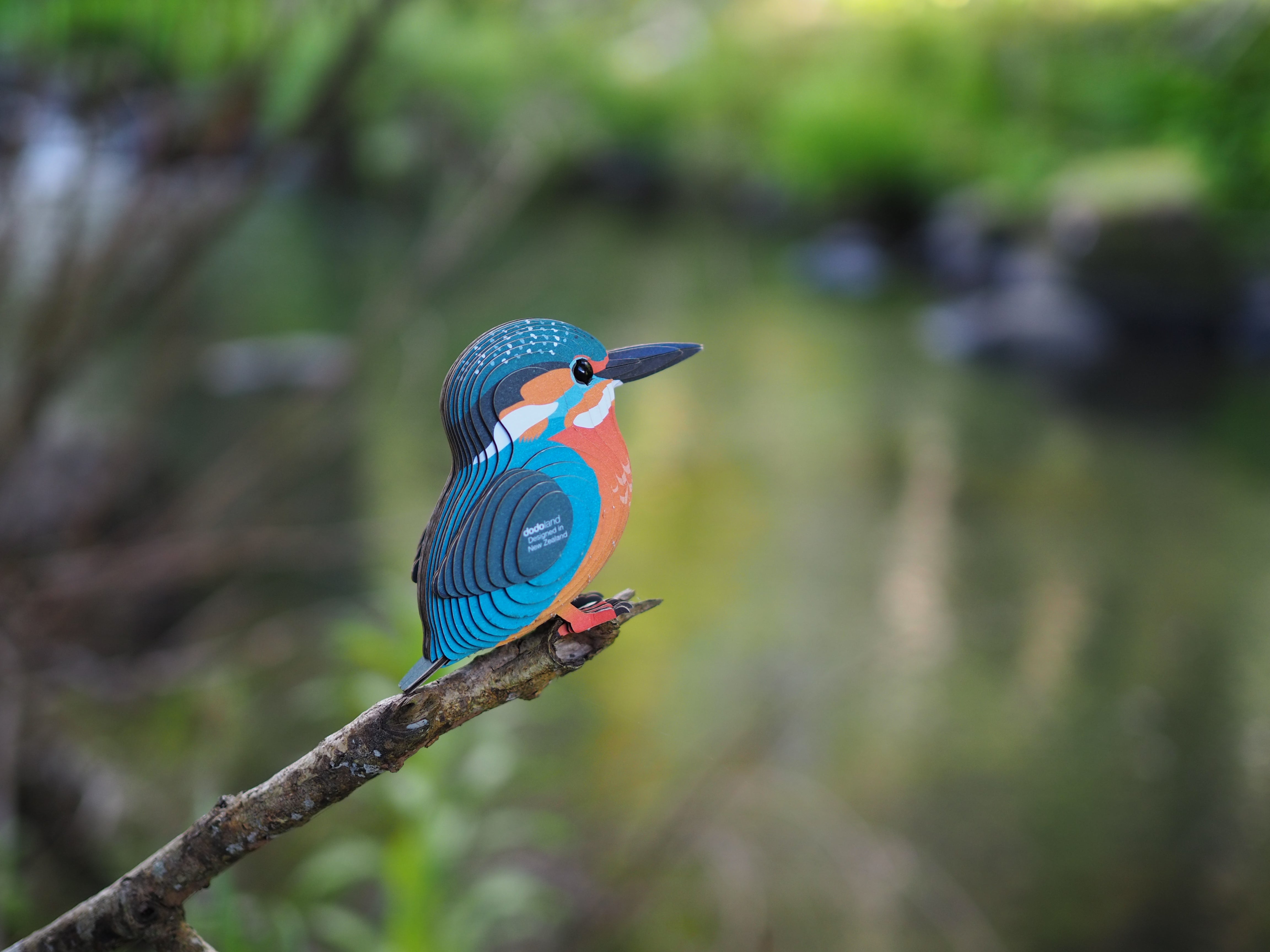 EUGY Kingfisher - 3D Cardboard Model Kit
