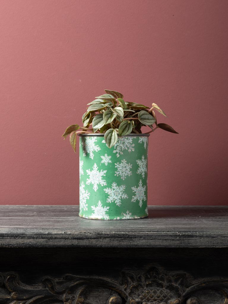 Small green canister with snowflake pattern and zinc pattina, against a white background