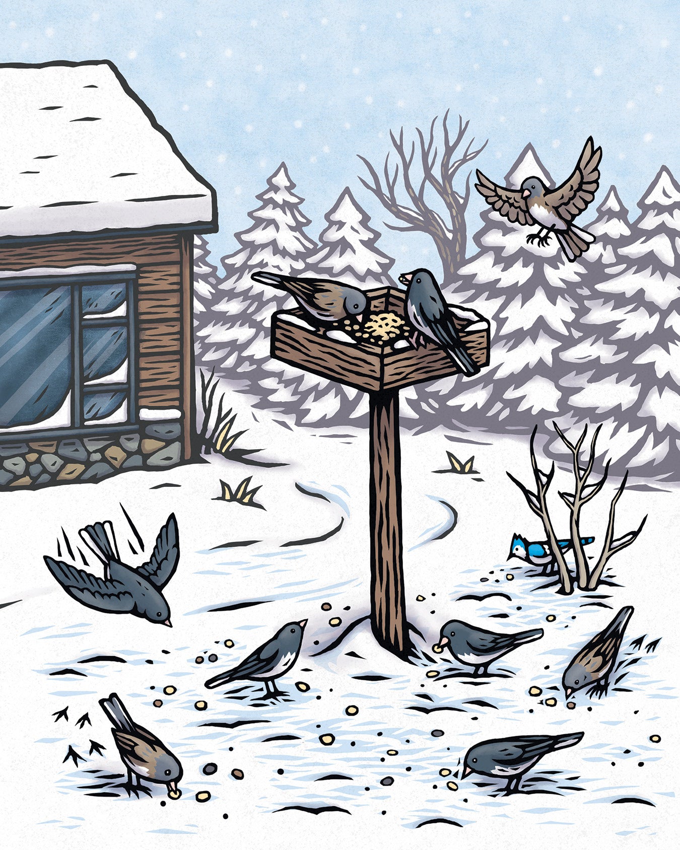 The Twelve Days of Winter; A Wildlife Celebration. Book illustration showing 10 birds in the snow