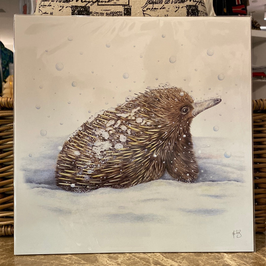 Etta the Winter Echidna Print (Unframed) in store. The brown desk is dumbing down the blue in the illustration. Much more vibrant & true to the first picture.