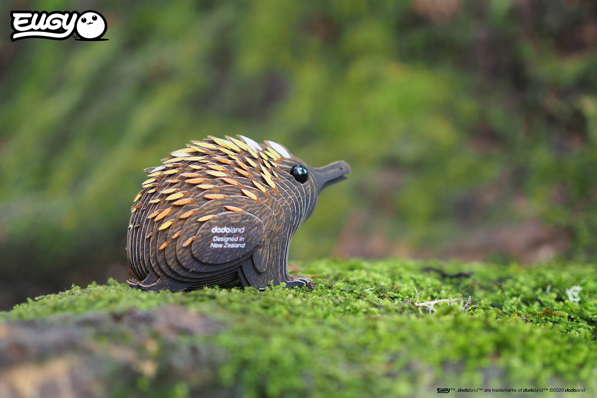 Image of an EUGY Echidna, facing right on an angle & sitting on a mossy log in front of a blurred green background