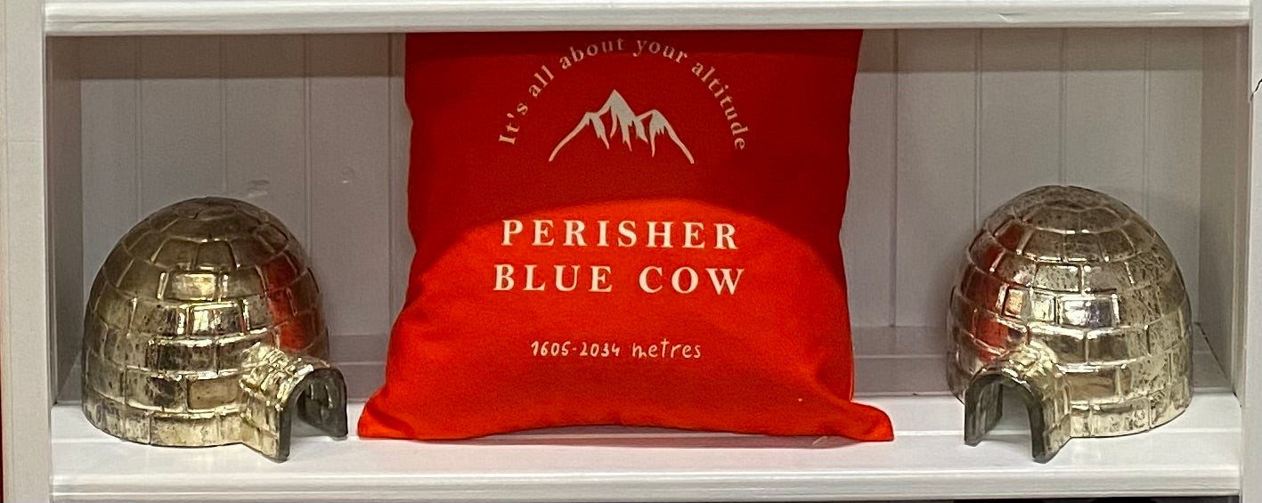 White bookshelf with a red cushion printed with the words Perisher Blue Cow; it's all about your altitude visible on the cushion and a drawing of a mountain, and 2 glass igloo ornaments on either side of the cushion