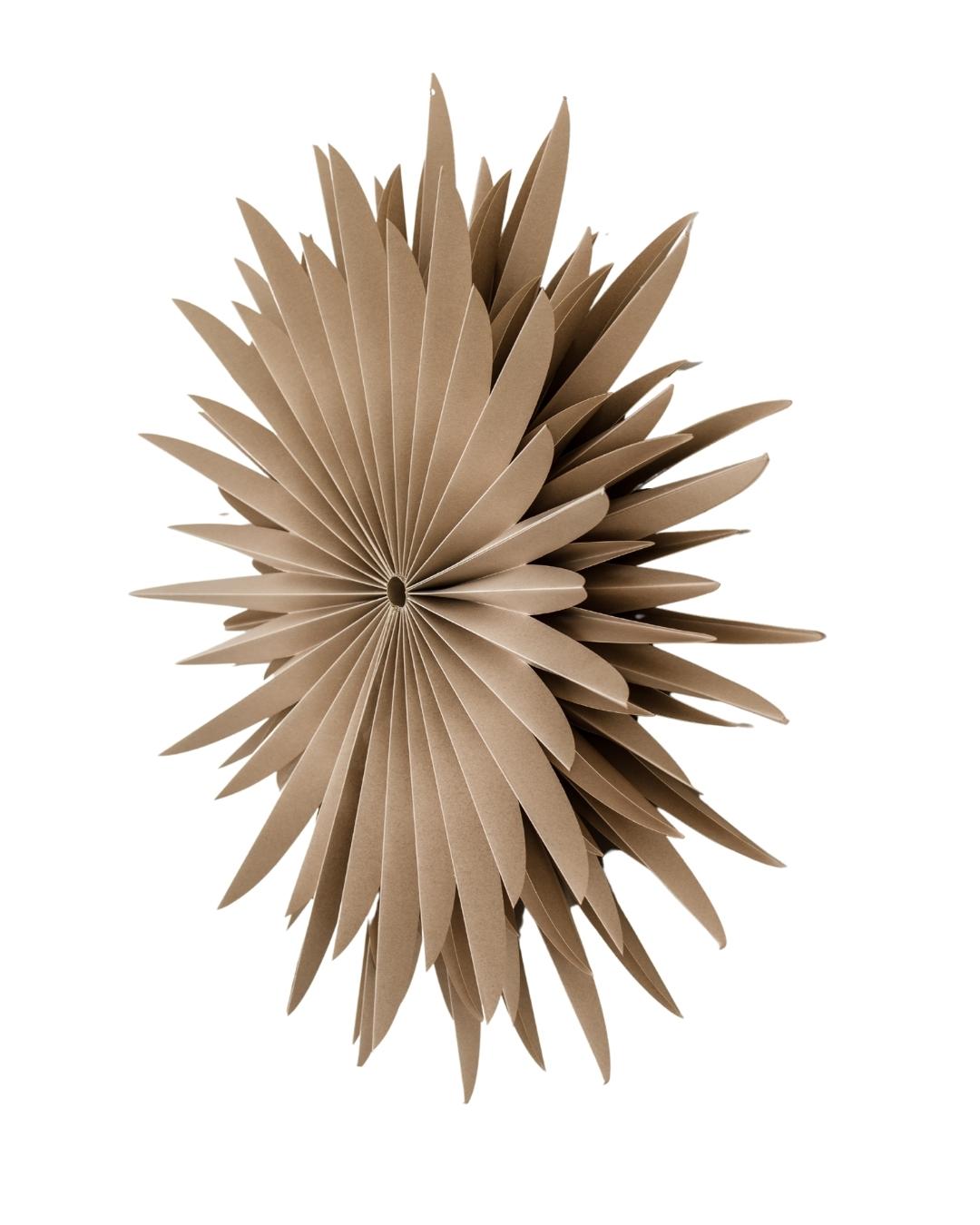 Almond Latte paper Star wall hanging in 70cm diameter on a white background viewed from a side angle