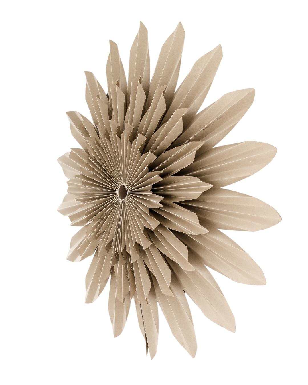 65cm almond latte coloured paper flower wall hanging on a white background viewed from a side angle
