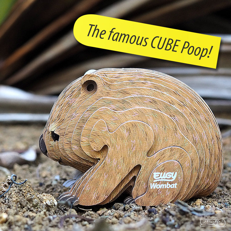 Image of an EUGY Wombat, facing left and viewed side on, standing on a patch of soil with purple plants in the background. The words 'The famous CUBE poop! highlighted in yellow